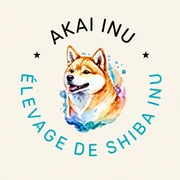 Logo Élevage Akai Inu
