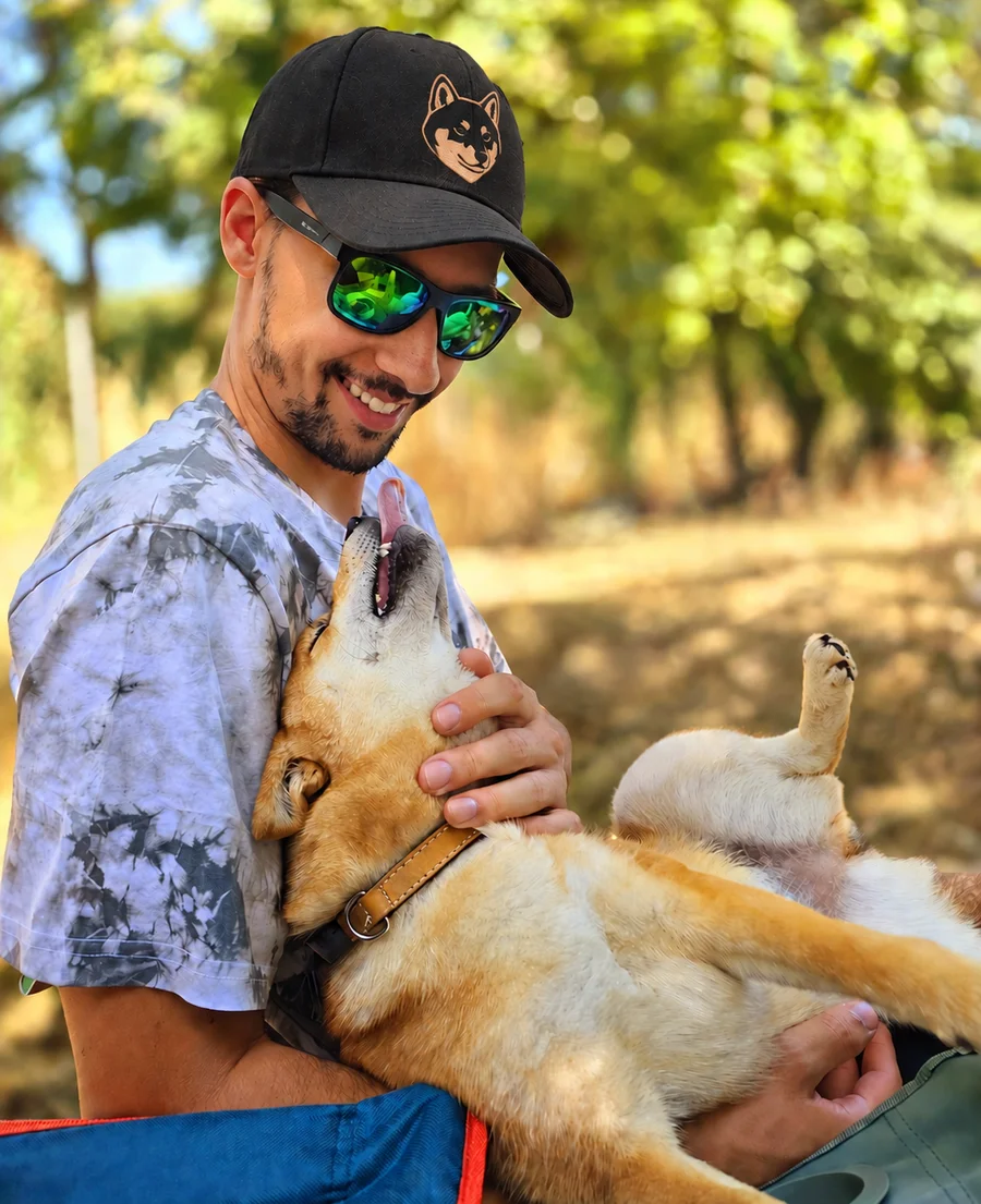 Tanguy, éleveur Akai Inu, avec un de ses Shiba Inu